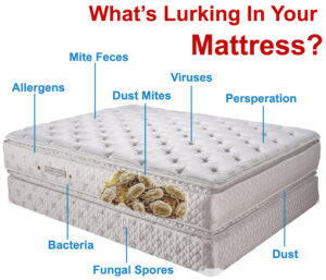MATTRESS CLEANING & ANTI- ALLERGEN SPECIAL